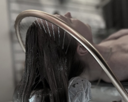 head1.png